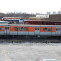 DSC_6222a.jpg