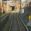 DSC_6315ax.jpg