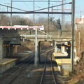 DSC_6316a.jpg