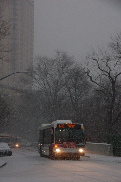 DSC_7031-X.jpg