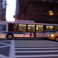 DSC_7199a.jpg
