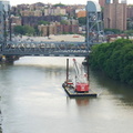 DSC_8988a.jpg