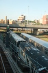 DSC_0009-800X.jpg