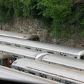 DSC_9420a.jpg