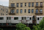DSC_9433a.jpg