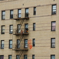DSC_9442a.jpg