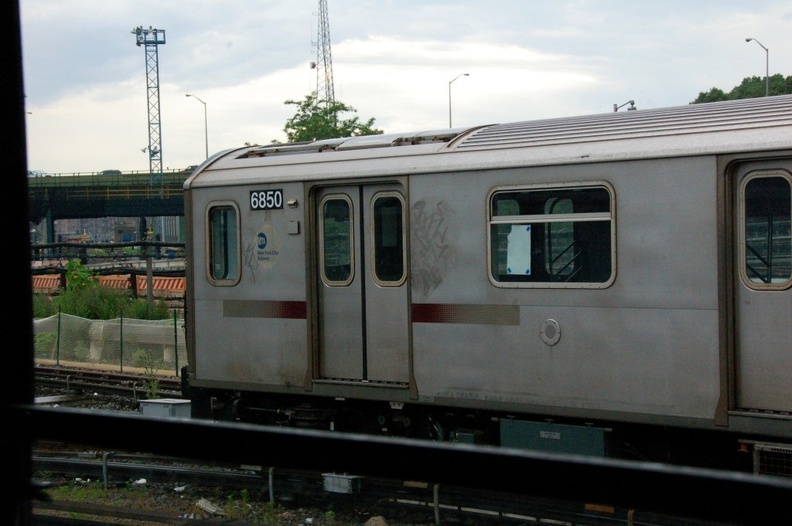 DSC_9542a.jpg