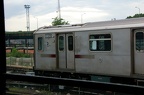 DSC_9542a.jpg