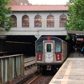 DSC_9598a.jpg