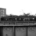 DSC_9636bw.jpg