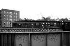 DSC_9636bw.jpg