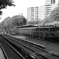 DSC_9696bw.jpg