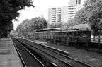 DSC_9696bw.jpg