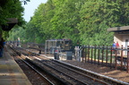 DSC_9705a.jpg