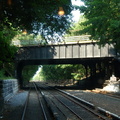 DSC_9753a.jpg