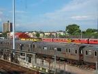 DSC_9769a.jpg