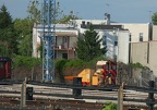 DSC_9771a.jpg