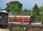 DSC_9773a.jpg