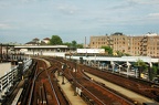 DSC_9778a.jpg