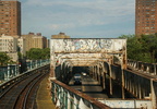 DSC_9829a.jpg