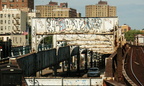 DSC_9832a.jpg
