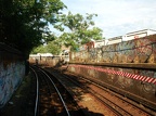 DSC_9838a.jpg