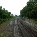 DSC_0250a.jpg
