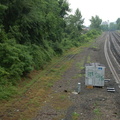 DSC_0256-800X.jpg