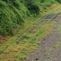 DSC_0257a-800X.jpg