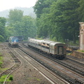 DSC_0269a.jpg