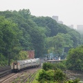 DSC_0296a.jpg