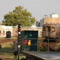 DSC_0547a.jpg