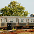 DSC_0555b.jpg