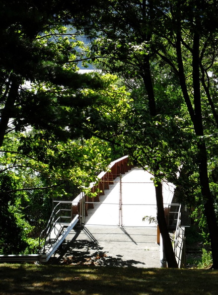 SDC10398a-800.jpg