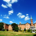 SDC10425a.jpg