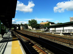SDC10449a.jpg