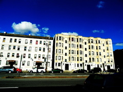 SDC10454a.jpg