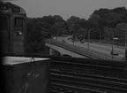 DSC_1161A.jpg
