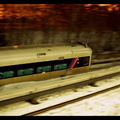 DSC_7149fa.jpg