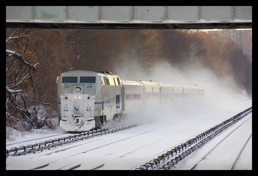 DSC_7297a.jpg