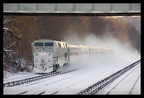 DSC_7297a.jpg