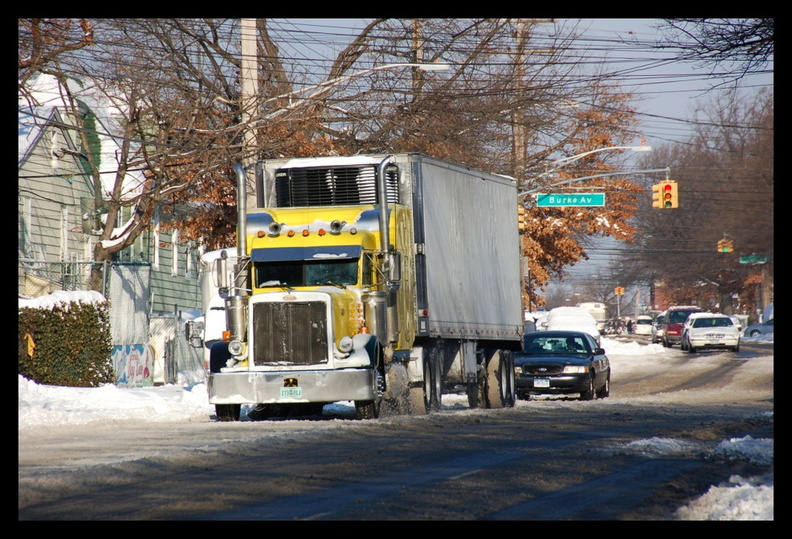DSC_7681a.jpg
