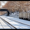 DSC_7691a.jpg