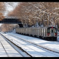DSC_7695a.jpg