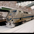 DSC_8207a.jpg