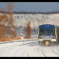 DSC_8243a.jpg