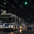 D7K_3557a.jpg