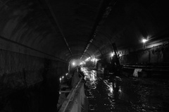 D7K_1655a.jpg
