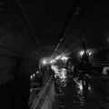 D7K_1655a.jpg