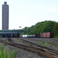 D7K_1605a.jpg